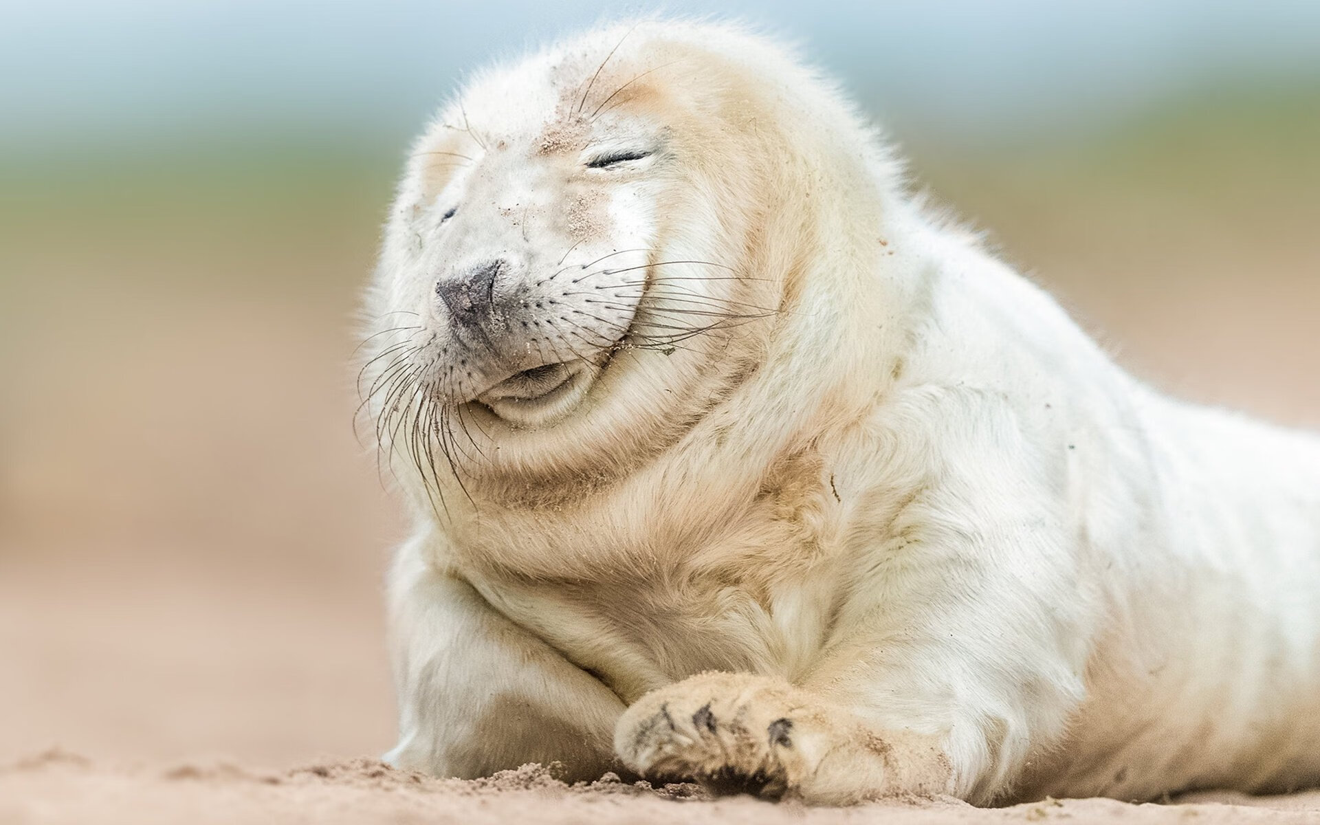 【“秒投”战术解析】科技如何助阵投手在时间压力下发挥?,秒投选手