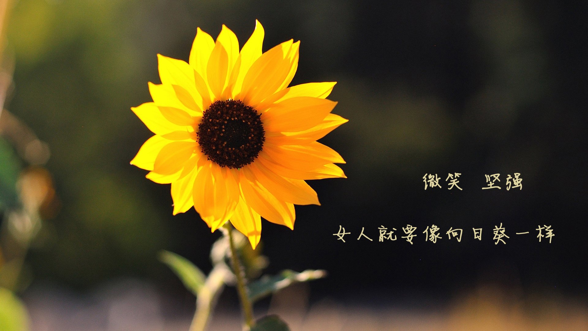 中国足协发布裁判职业化推进计划，足协裁判部