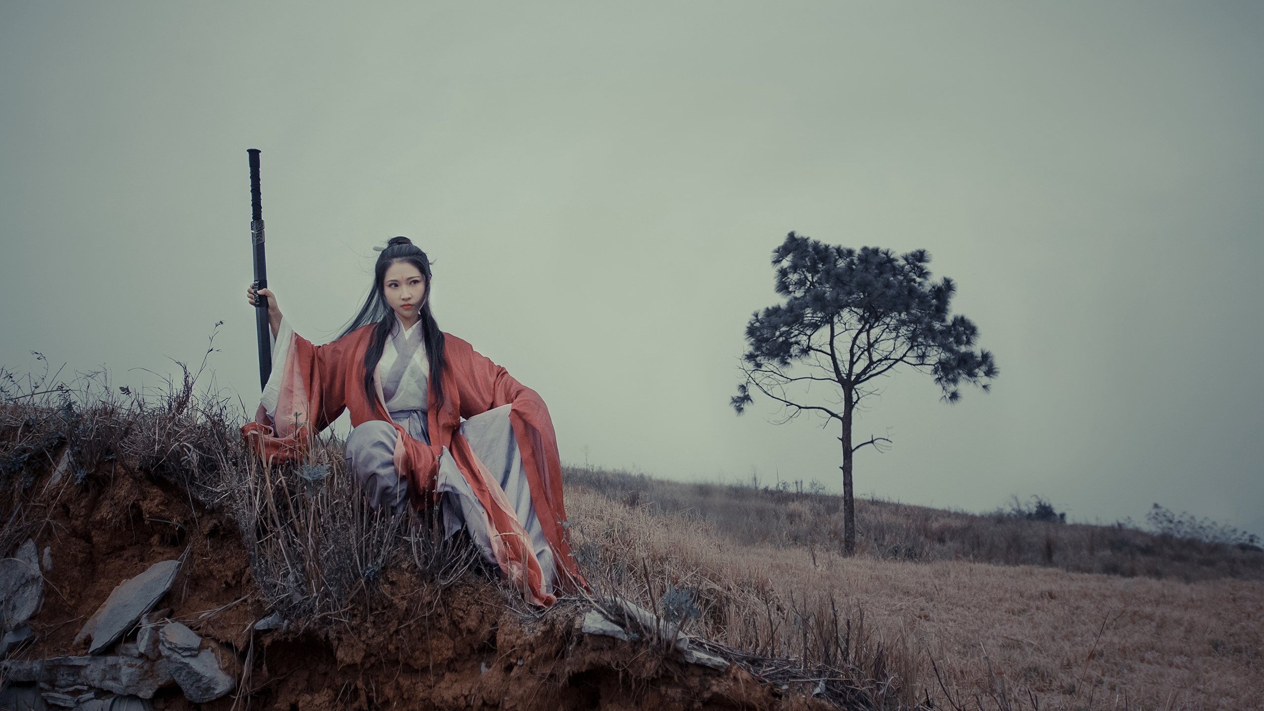 伊朗马术协会推出马匹健康管理系统，提升马匹福利。，伊朗 马赛克