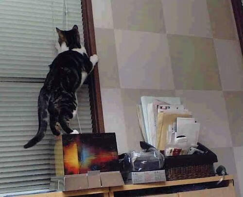 巴西男足未能卫冕奥运金牌，阿根廷取而代之，巴西男足从未获得过奥运会足球比赛冠军