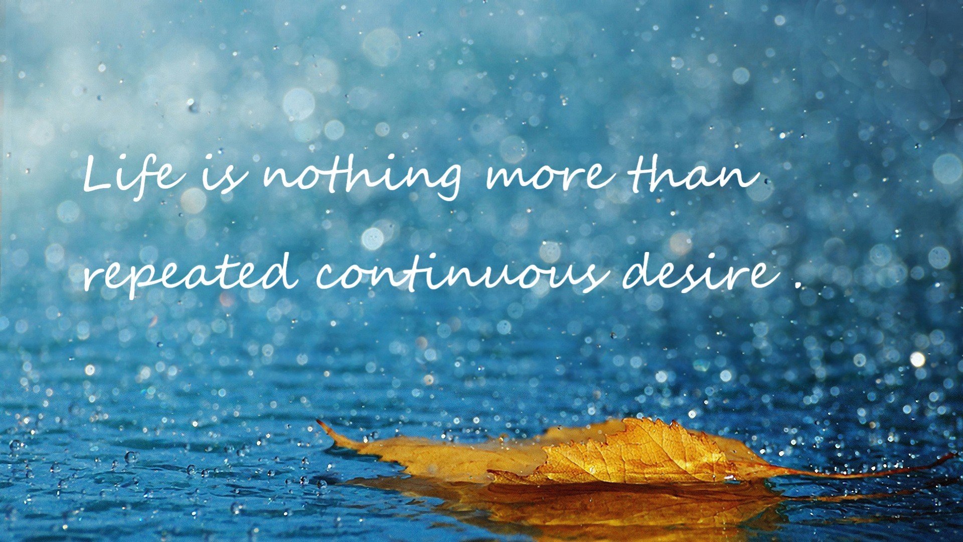 巨星半场精彩表演，带领球队奋勇争冠，巨星半场精彩表演,带领球队奋勇争冠