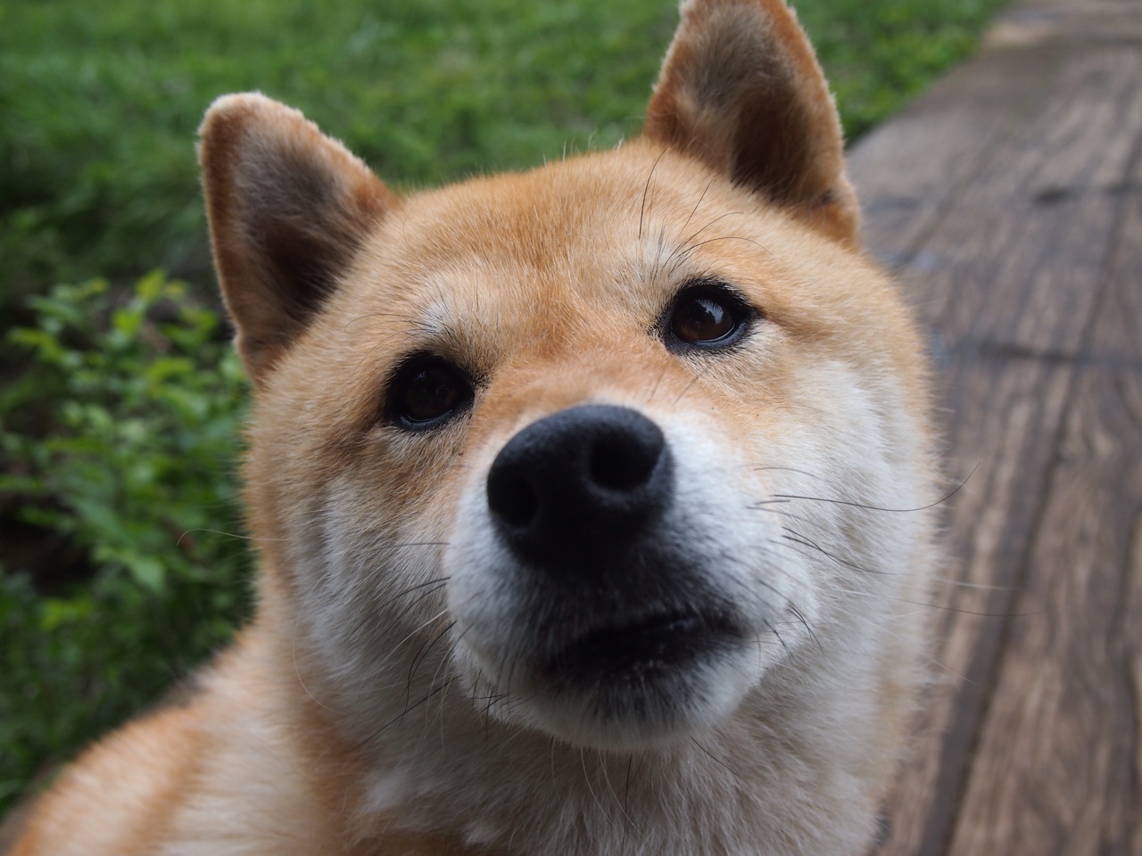 九游娱乐APP-新型悬挂系统：提升操控稳定性，好的悬挂系统