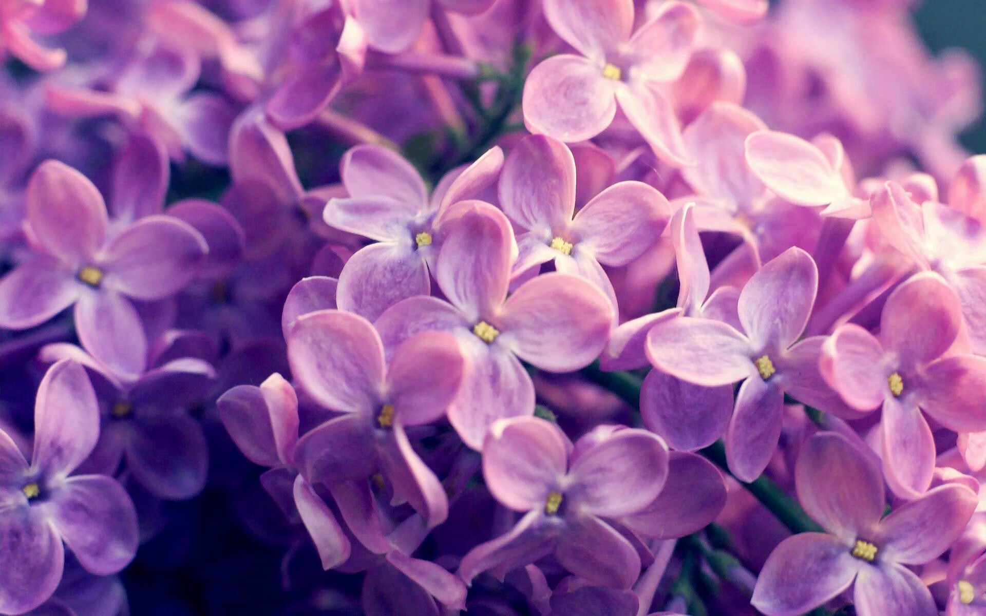 JiuyouAPP下载-特色篮球品牌走出国门，打造具有中国元素的体育名片，篮球体育品牌排行榜