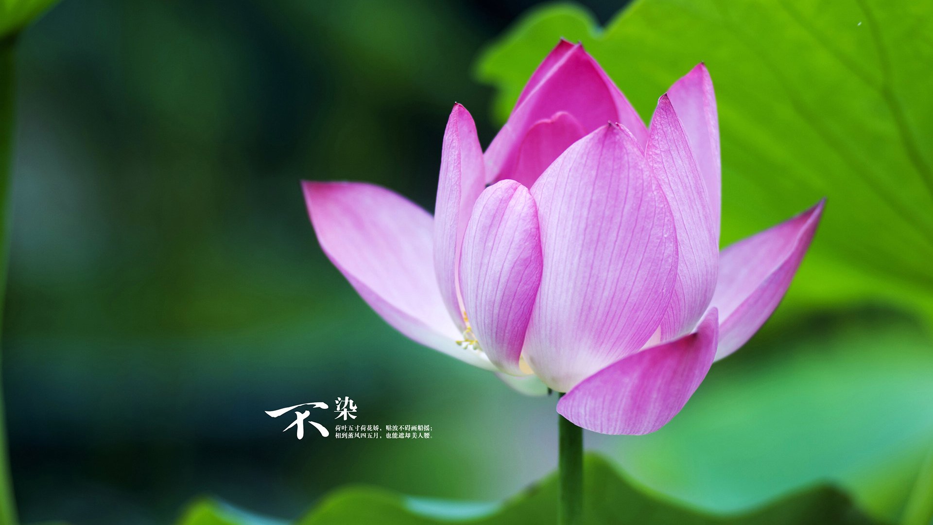 特色“足球+旅游+文化”产业融合示范区在行业内持续推广，足球特色园试点工作总结报告