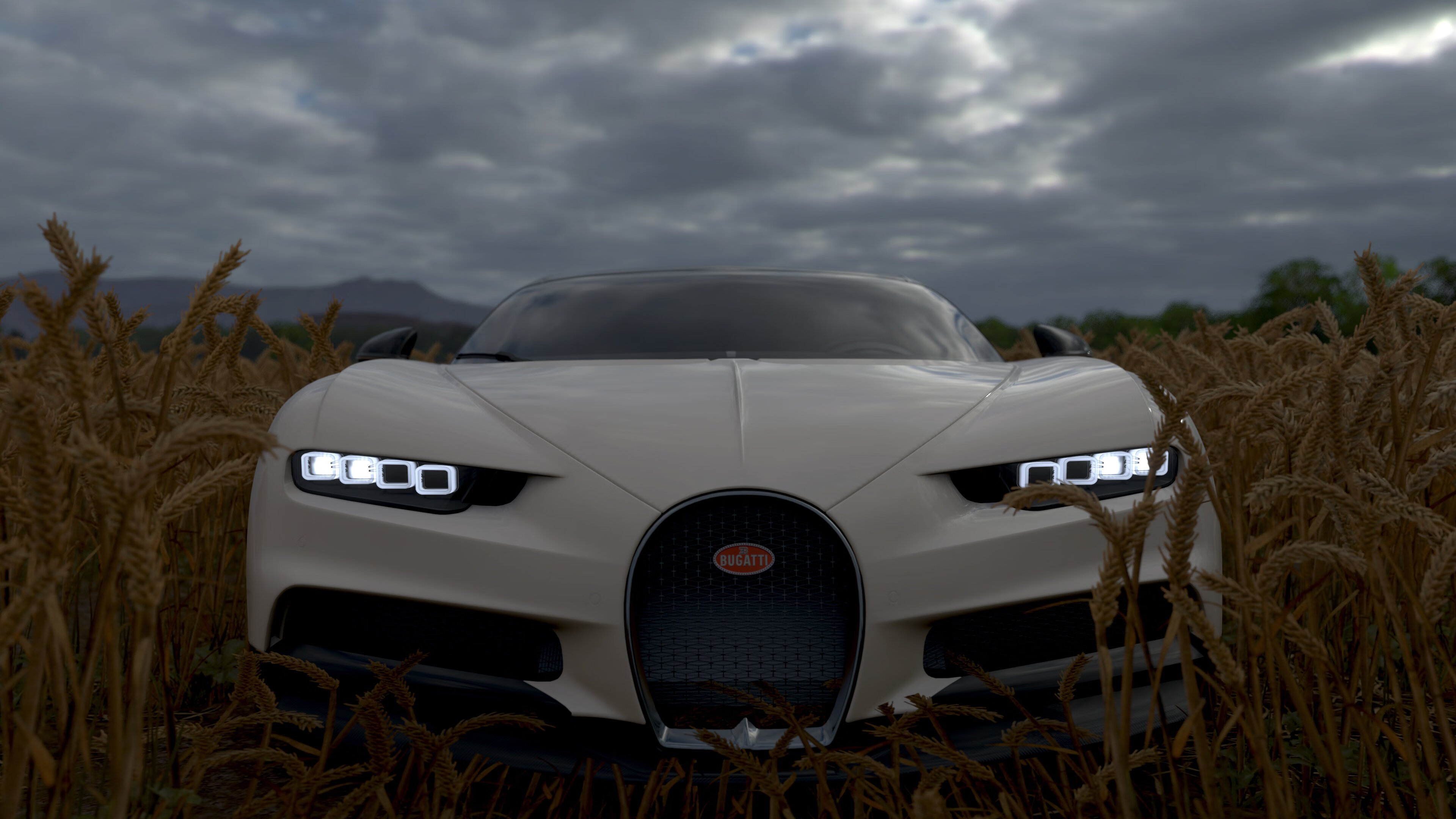 运动员公益:用行动点亮更多希望,关于运动公益用语