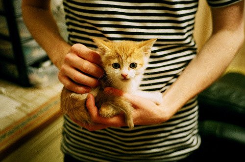 -LCS积分榜排名大洗牌，lck积分榜排名最新