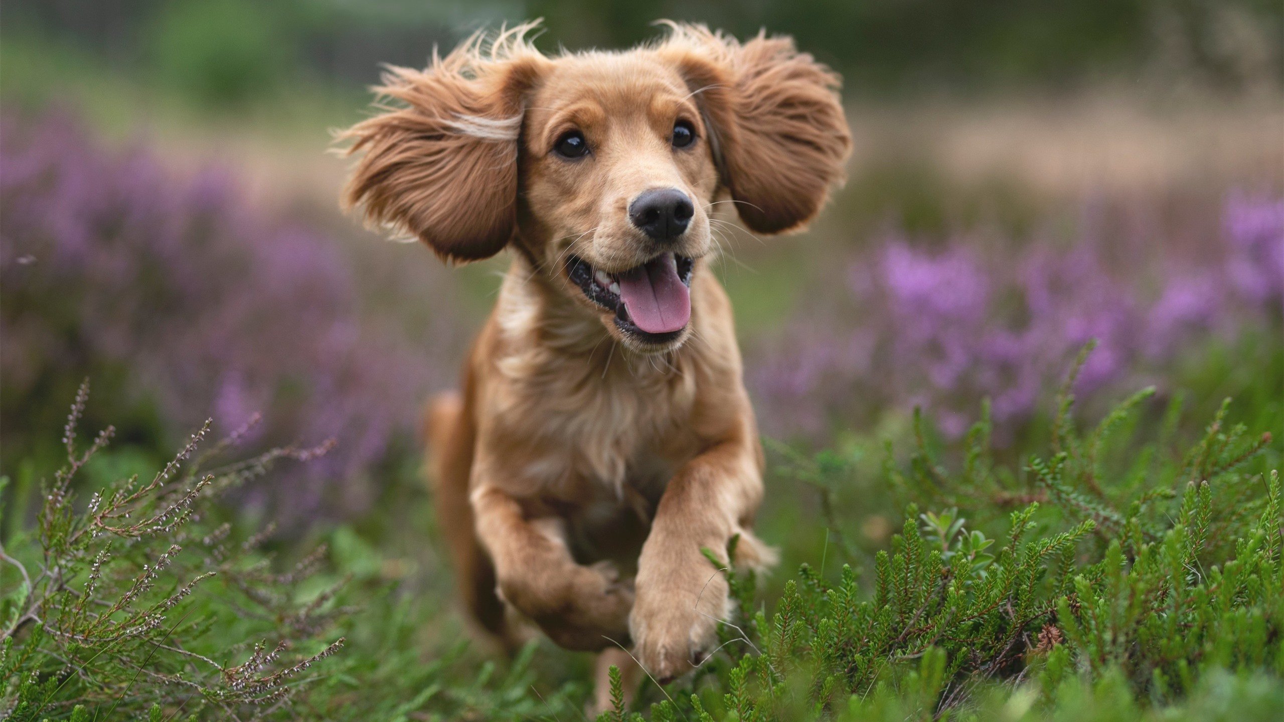 九游娱乐APP-IG战队推动“电子竞技与传统体育融合”项目