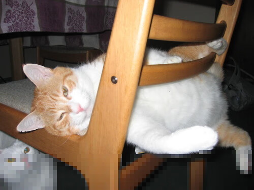 九游网页版官网入口-《纽约邮报》：荷兰女足在预选赛中惜败德国，荷兰女足吧