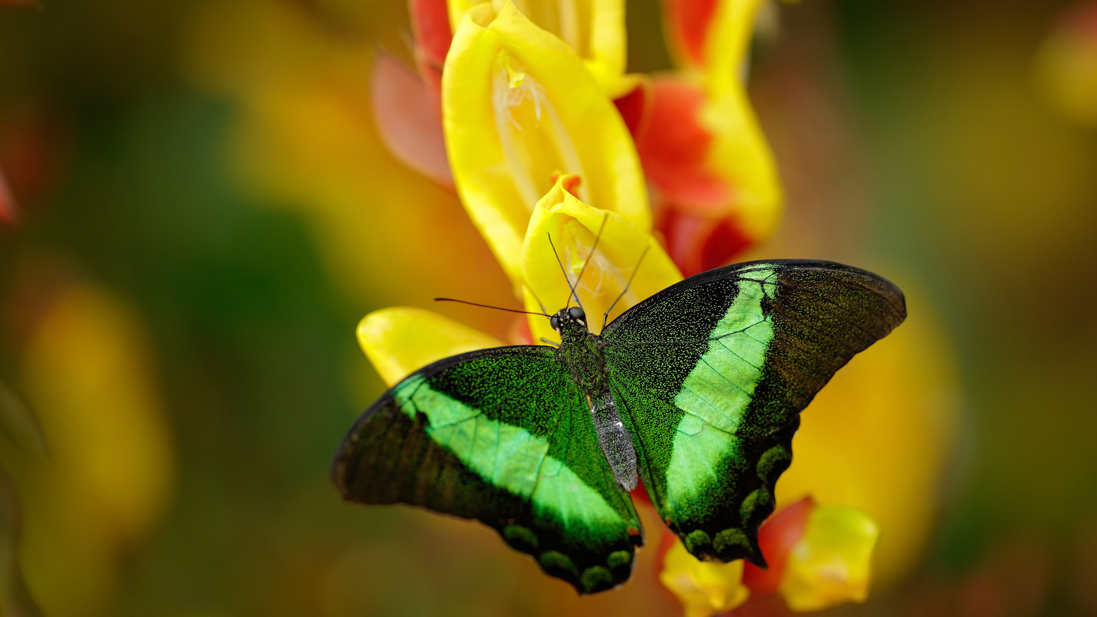 九游登录中心-加纳女足遭遇三连败，小组垫底出局，加纳国脚