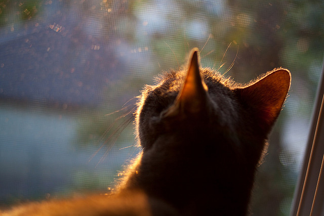 国足加强对手研究,备战更有策略,国足承担对手费用