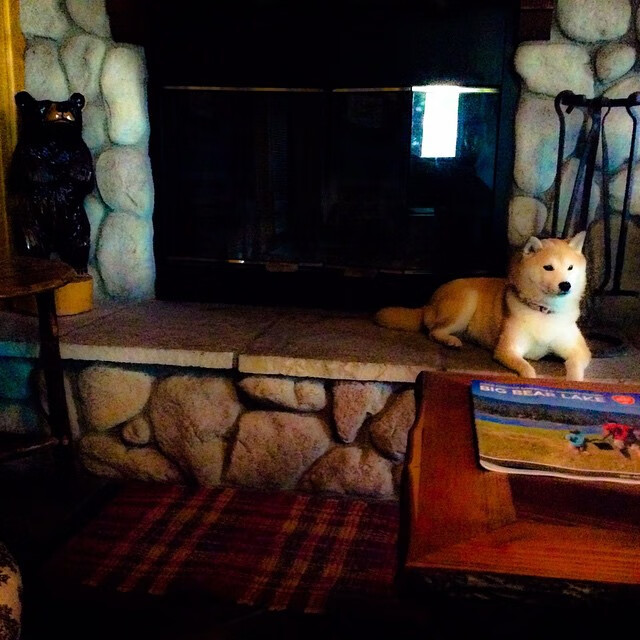 九游娱乐APP-扭转乾坤，球队出色表现实现逆转！，扭转乾坤的下一句句是什么