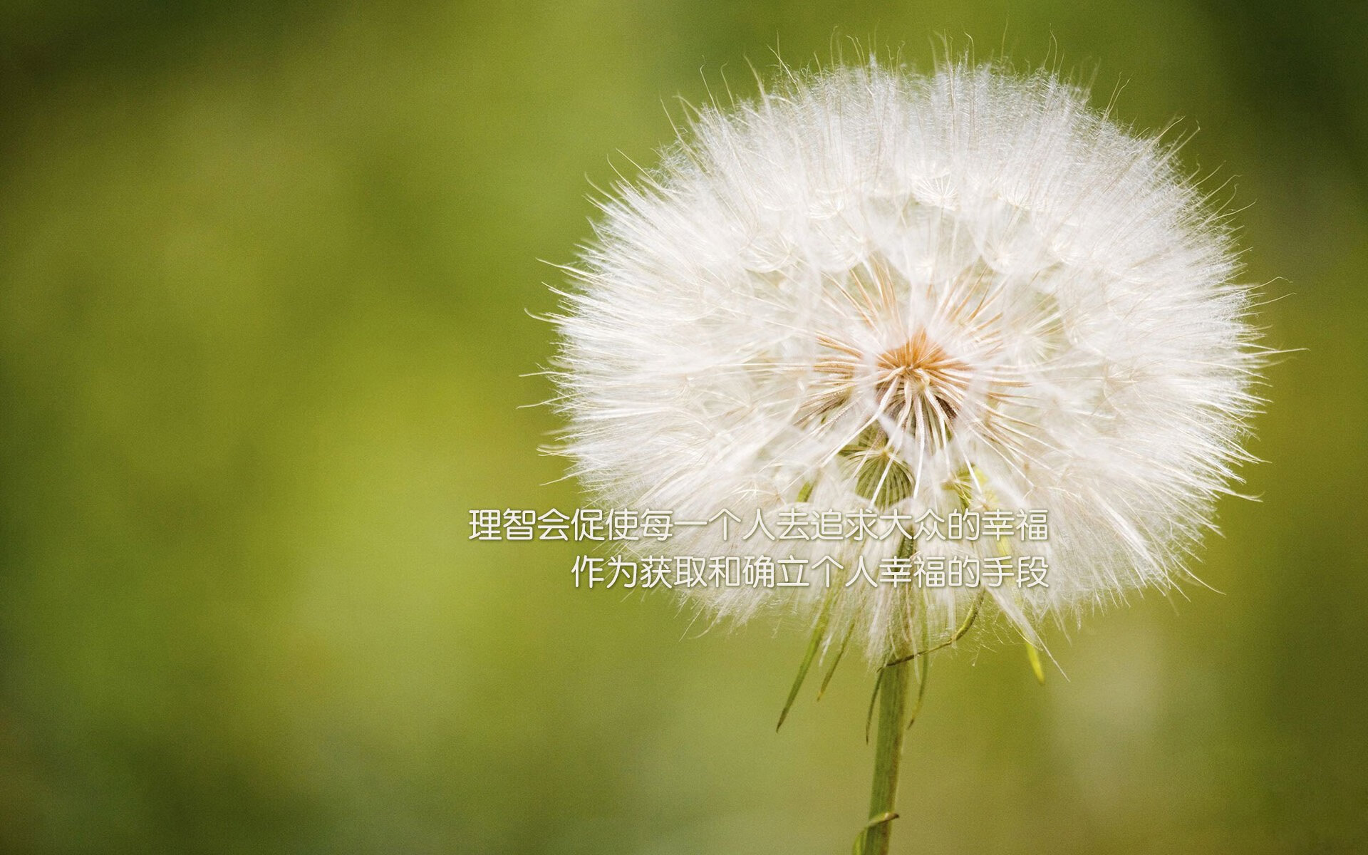 斯洛伐克队在欧洲比赛中大获全胜，实现逆袭，斯洛伐克队员名单