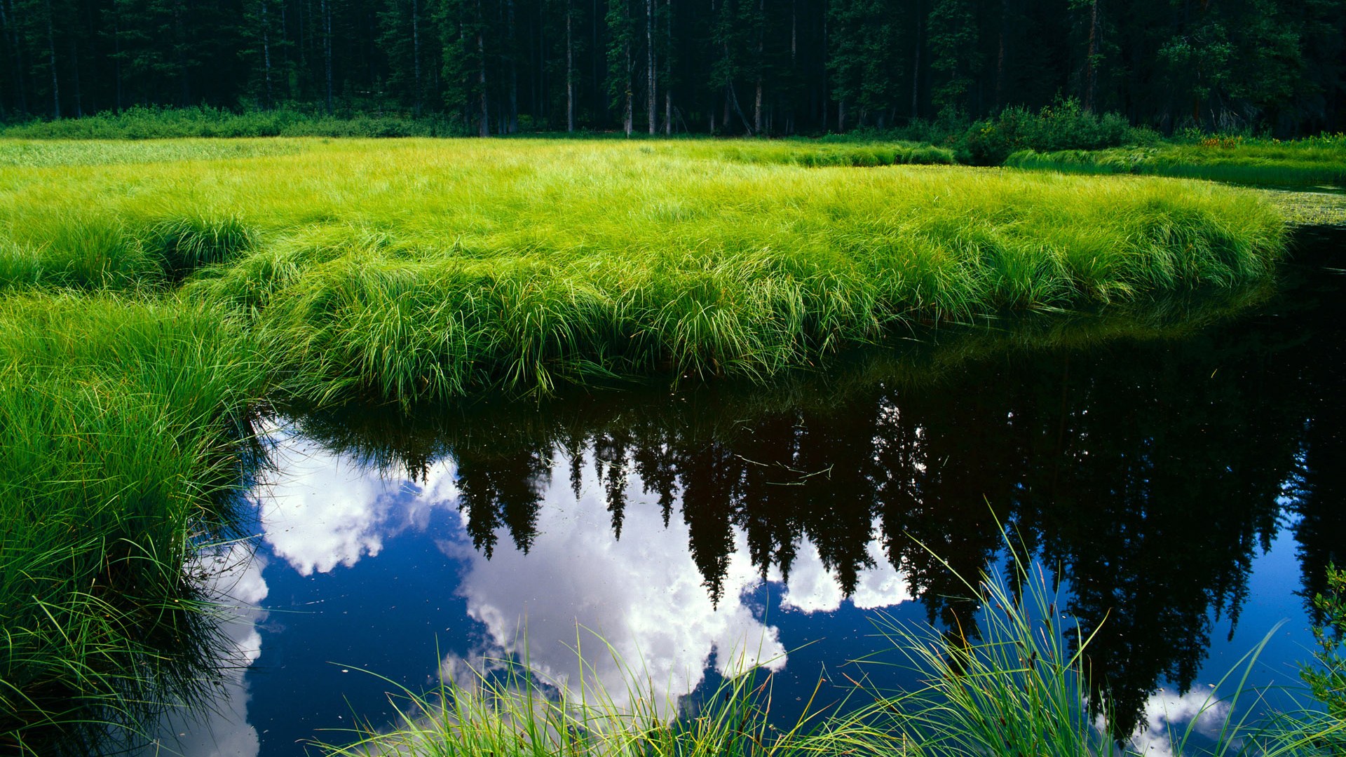 九游官网下载电脑版-波兰战胜俄罗斯，晋级欧国杯半决赛，波兰欧预赛战绩