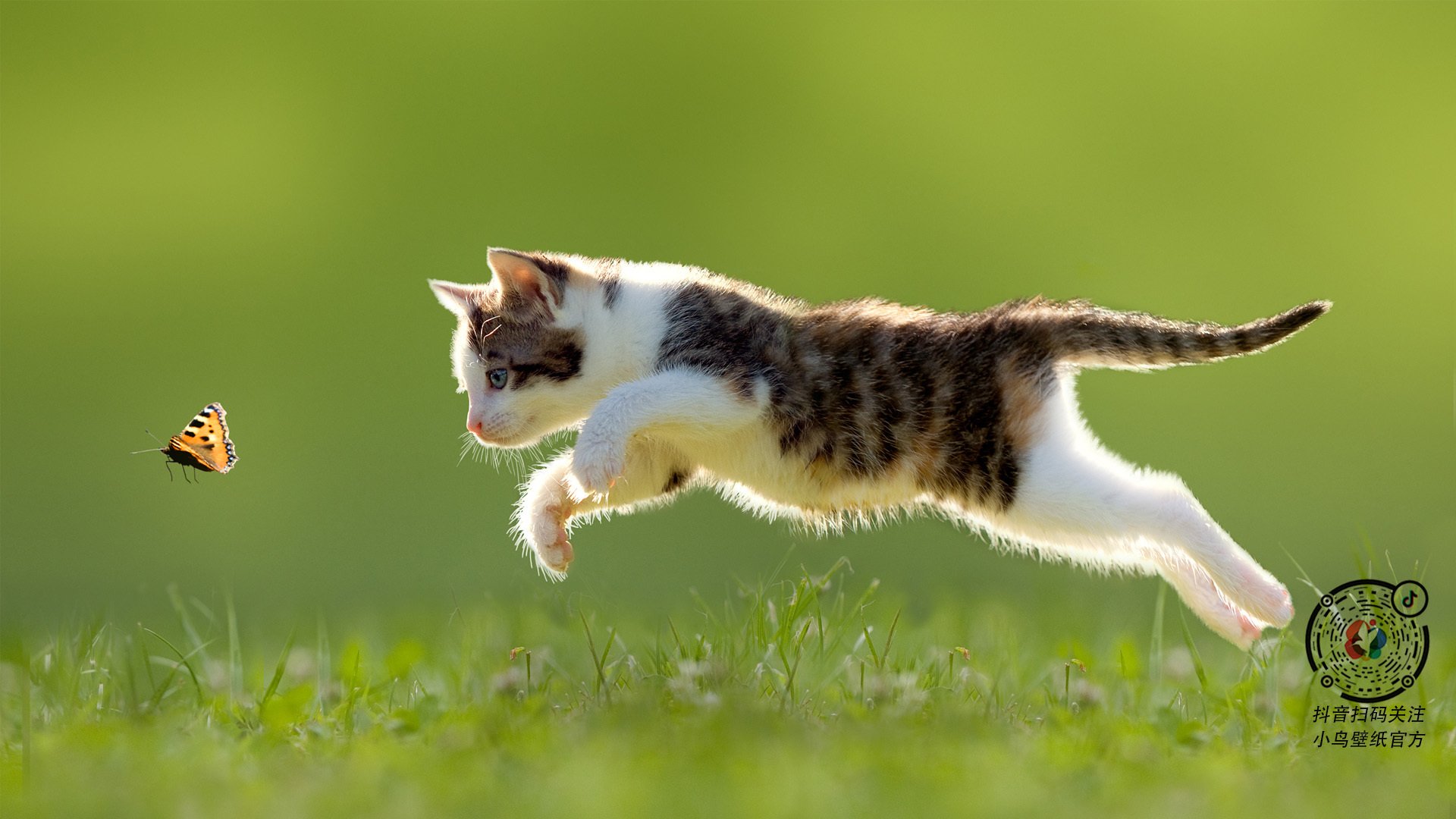 诺斯郡老将贡献绝杀，助球队豪取三分，诺斯01