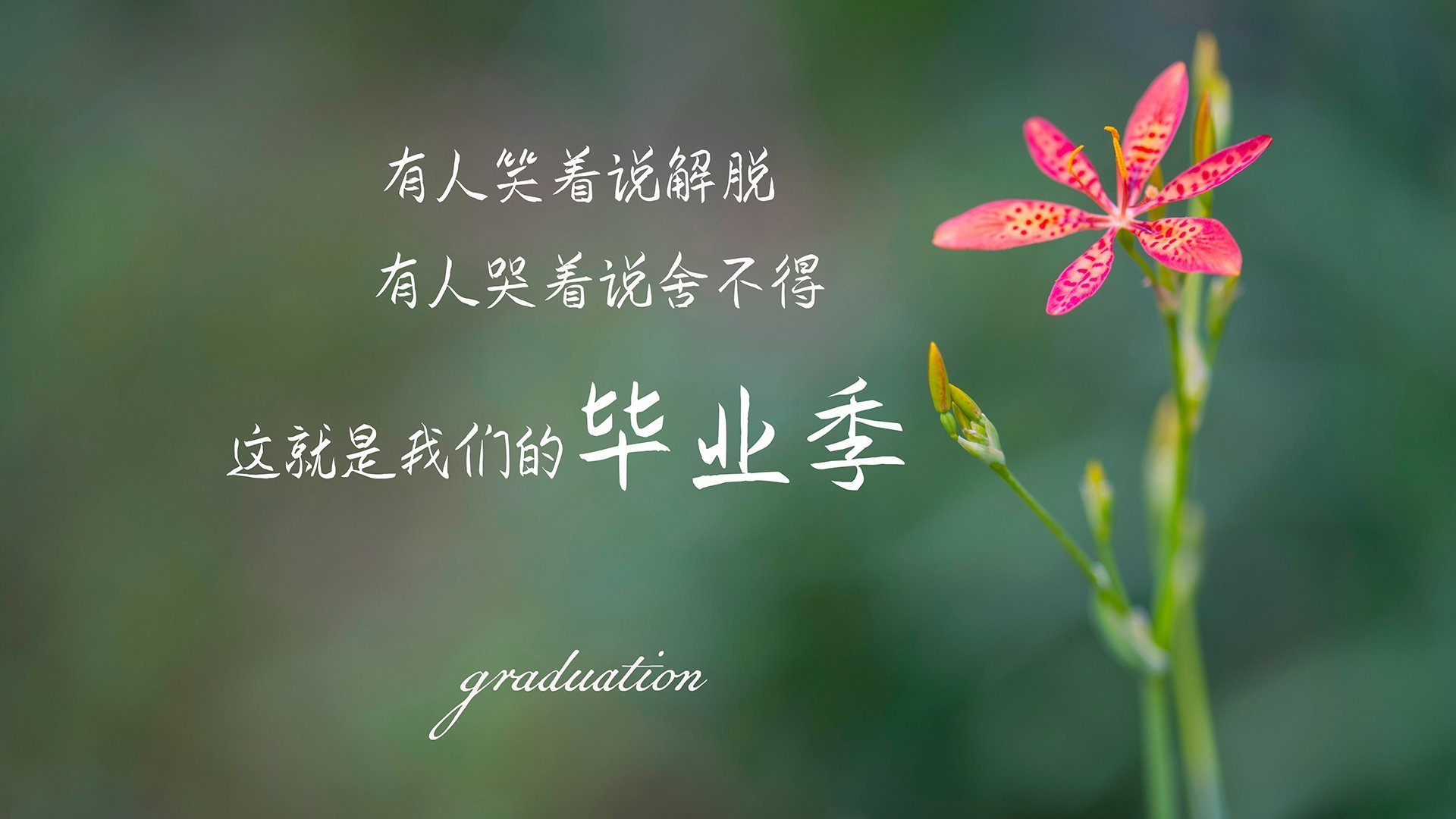 那不勒斯主场告负,实力暴露问题,那不勒斯 主场