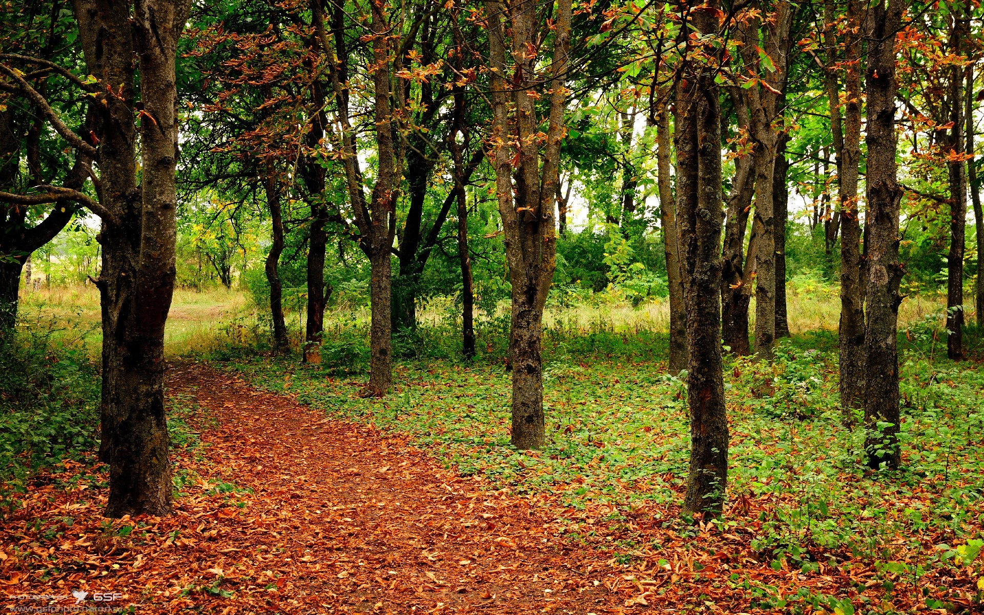 九游网页版官网入口-NBA球队多回合战术循环设计的科学性探讨，nba百回合防守效率