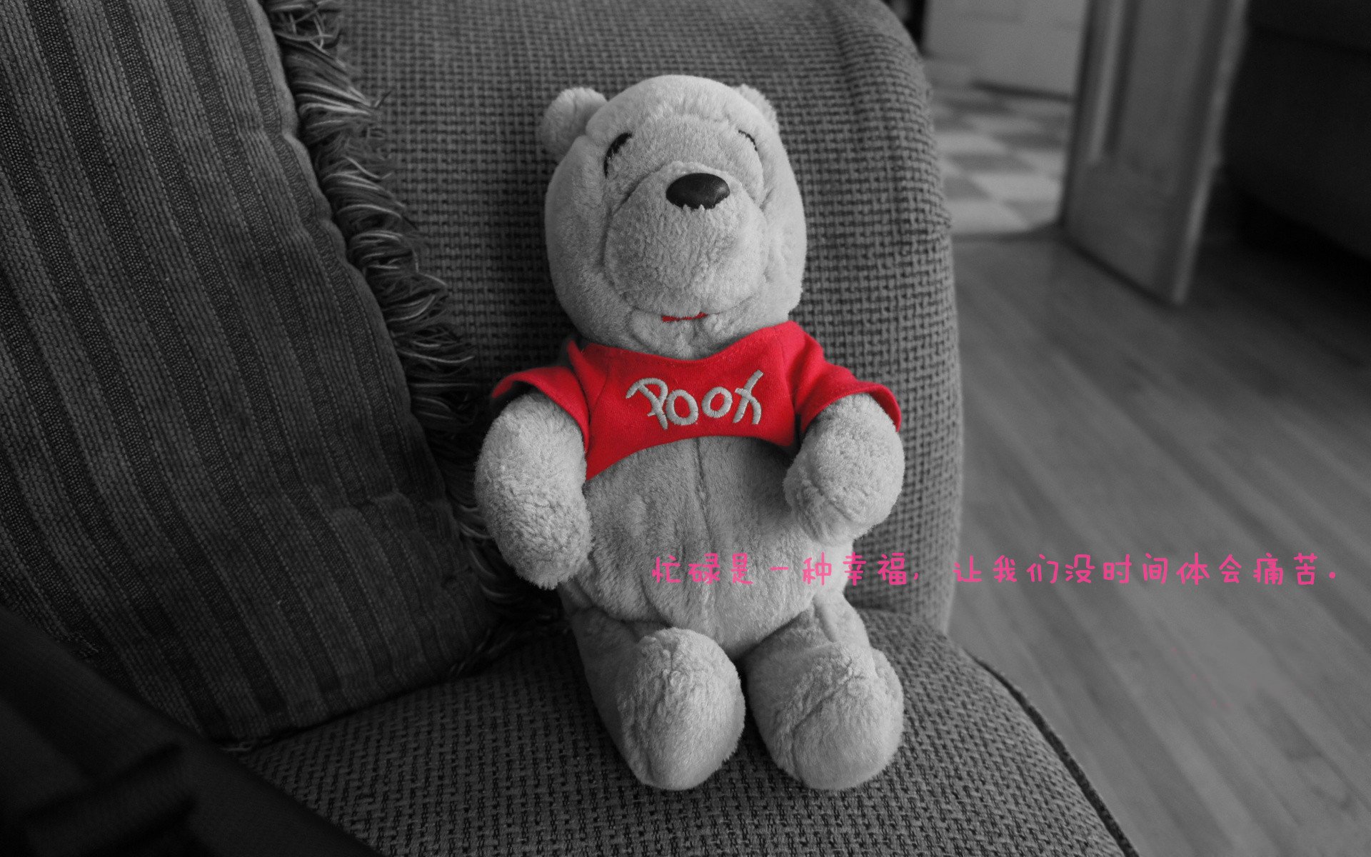 全国青少年趣味格斗赛激烈角逐,青春激荡,青年格斗比赛