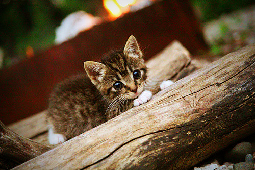 英超球队基于位置热力图优化压迫式防守区域控制,英超球队地图分布