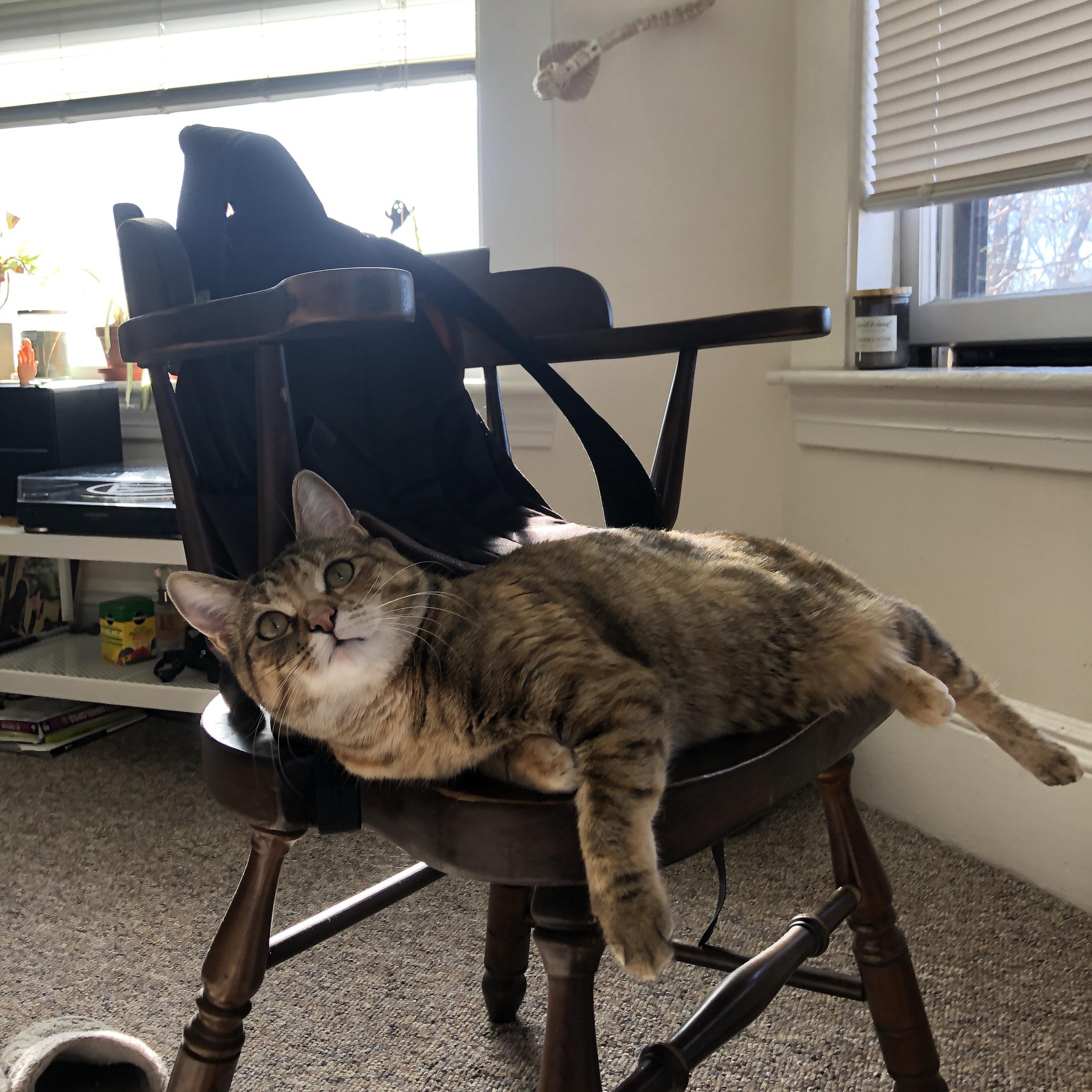 西甲青训营技术教学与战术传承融合探讨，西甲青训排名