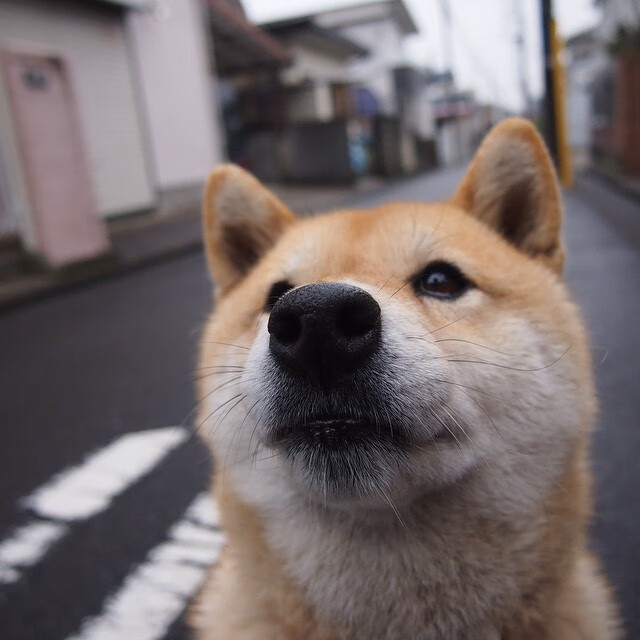 青少年体育社交行为与心理健康关系研究,体育运动与青少年社会化