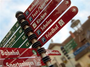 九游9游-高校运动队选拔机制公平性研究，高校运动队选拔机制公平性研究报告