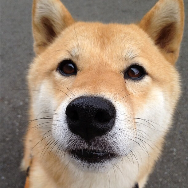 CBA联盟积极举办各类篮球公益活动,篮球公益活动主题