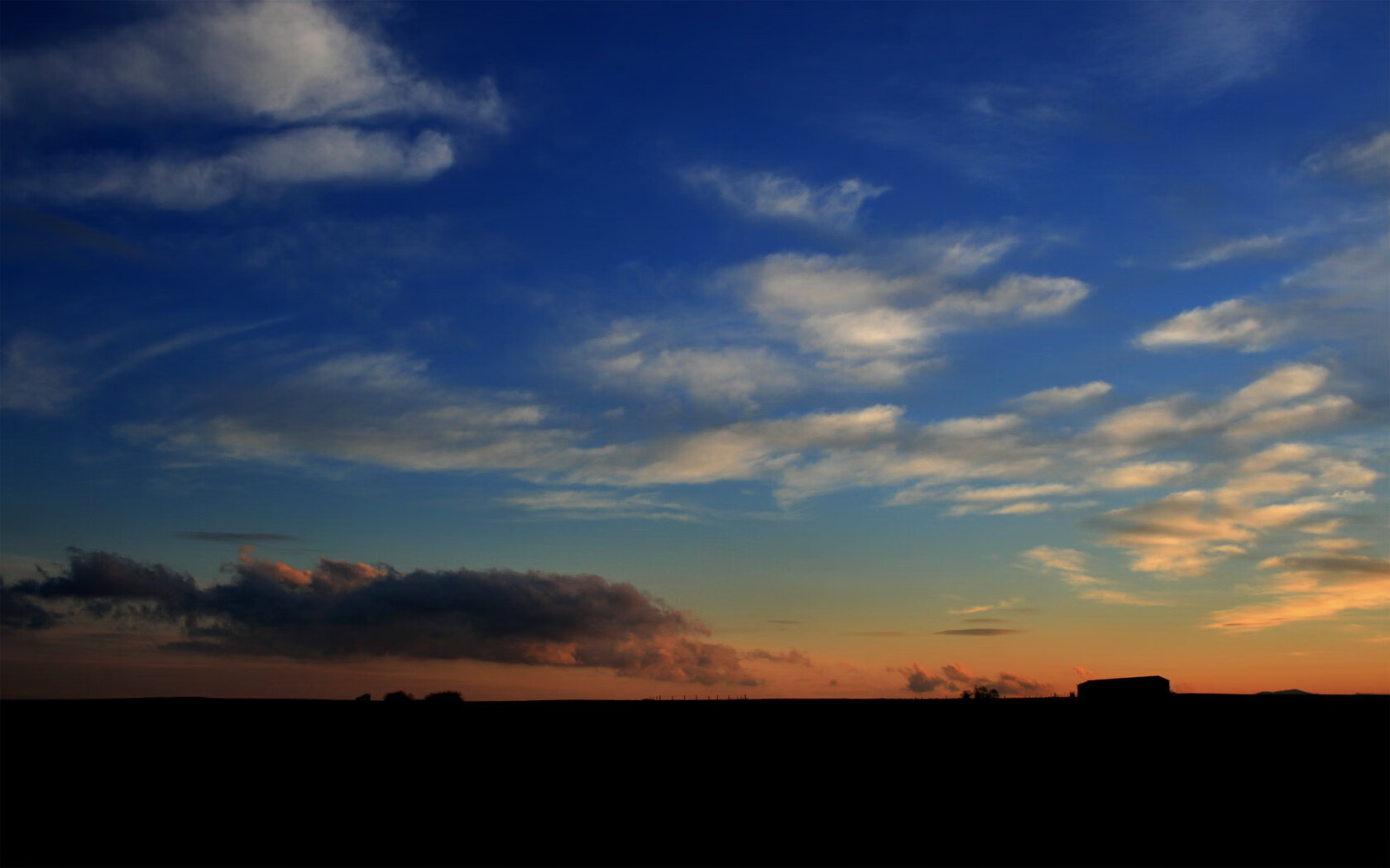 “汤姆·佩顿短泳技术大幅提升,挑战泳坛顶尖”