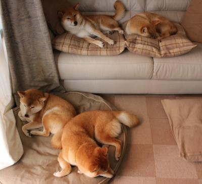 九游电脑版-中国三人篮球男队体能训练强化 适应高强度赛事，中国男子三人篮球运动员