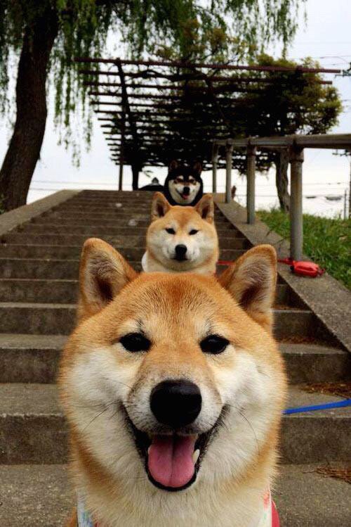 九游网页版官网入口-五大联赛球队防守站位对战术风格的体现，球队防守效率排名