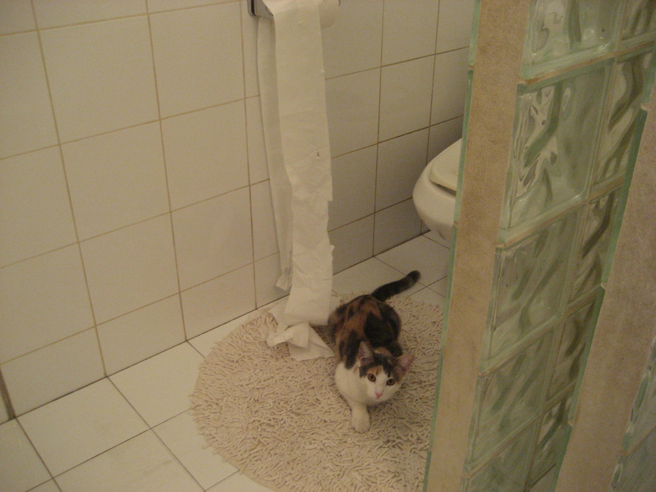 新加坡乒乓未来展望:如何在世界大赛中稳定发挥,突破自我,新加坡乒乓球运动