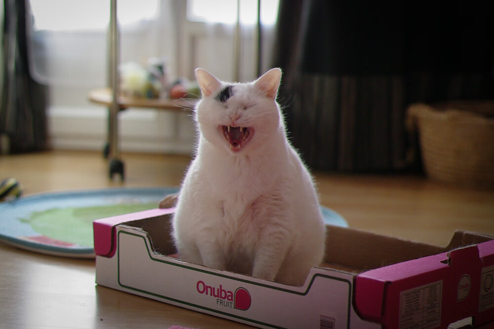 欧洲杯预选赛激战正酣,黑马球队横空出世,欧洲杯预选赛情况