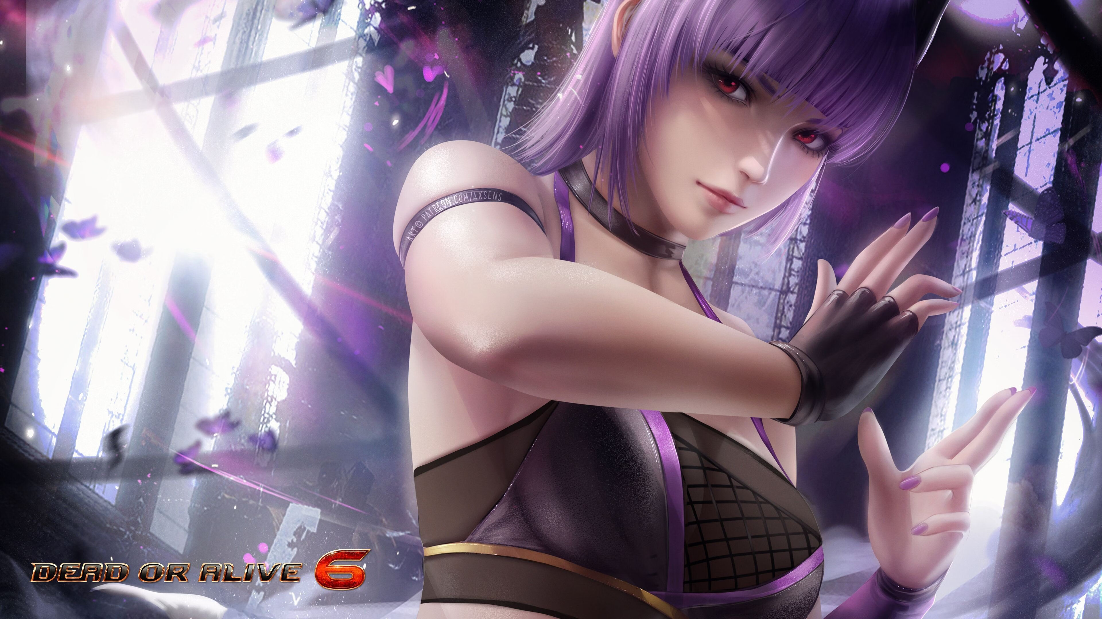 美洲杯球队背后团队支持揭秘，美洲杯球队背后团队支持揭秘吗