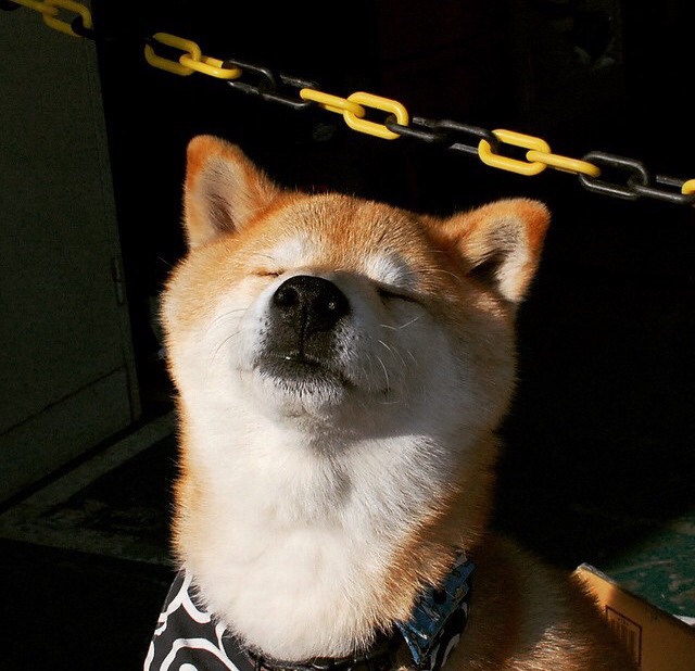 虚拟现实足球比赛模拟场景，让青少年体验“未来战场”